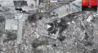 Burnt bodies of Russian invaders lie near the destroyed BMP in Kharkiv region