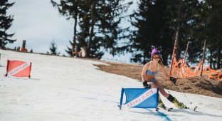 Зрелищные соревнования по спуску с горы в бикини (14 фото)