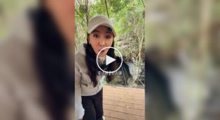 Ресторан для экстремалов в Китае