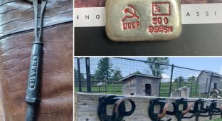 Что за штука: самые странные находки. Выпуск 82