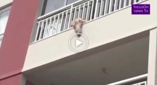 Бдительные соседи спасли собаку, которая повисла на балконе 4-го этажа