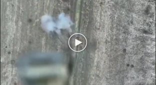Three Ukrainian drones circle over the head of an occupier near Pokrovsk