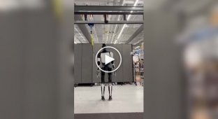 Elon Musk showed a video of a dancing humanoid robot