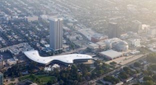 An unusual museum will appear in Los Angeles (9 photos)