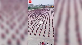Hundreds of kung fu students train simultaneously in China
