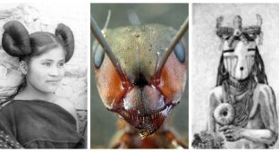 Ant-People Underground Civilization: Fantasy Or Reality? (9 photos)