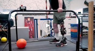 A new generation prosthetic that the brain considers a native leg