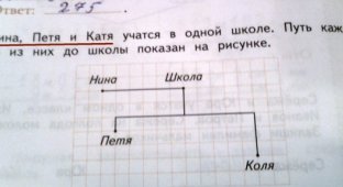 Сумасшедшие сюрпризы из школьных учебников  (14 фото)