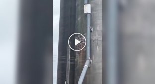 Silo tower collapses in an American city