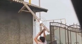 Rescuing a kitten from a roof