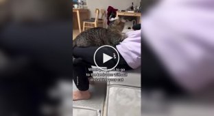 How to properly move around the house when a cat is lying on you