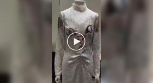 Бренд Valentino представив унікальну сукню з кітом