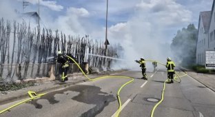 Neighbors wanted a barbecue and almost burned down the street (4 photos)