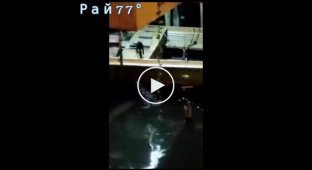 Атака крокодила на зазевавшуюся кошку в Таиланде