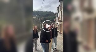 The French sang a serenade for two cats