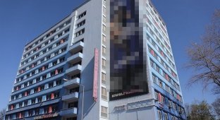 Китайцы выкупили самый большой бордель Европы (4 фото)