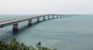 Японец упал с моста от радости, делая предложение подруге (3 фото)