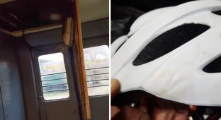 Пассажира электрички спас велосипедный шлем на голове (4 фото)