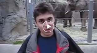 24 апреля - день, с которого начался YouTube: первый ролик, загруженный на платформу