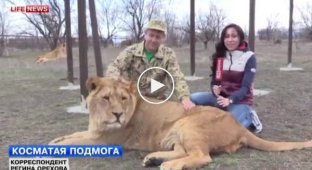 Крымские львы будут защищать Крым от бандеровцев и фашистов (майдан)
