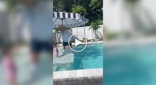 Странные видео (короткие видео). Выпуск 29