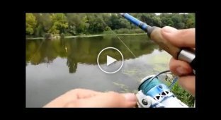 Great catch or dangerous fishing