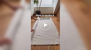 How to make a bed for a pet from an old blanket