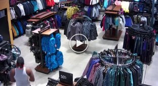 Криминальный флешмоб. Массовая кража одежды из магазина в США попала на видео