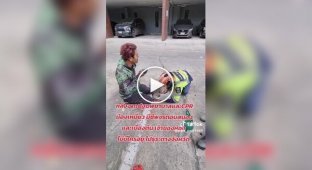 Курьер спас кошку во время пожара