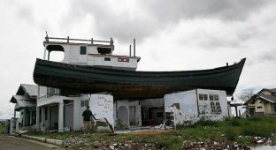 Why in an Indonesian city there has been a boat on the roof of a house and a barge in the middle of the city for many years (5 photos)