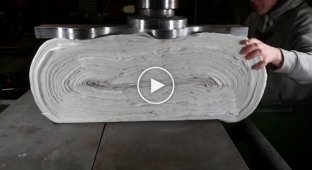 Блогер превратил двадцать рулонов туалетной бумаги в скейтборд