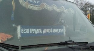 В Воронежской области нетрезвый водитель вонзил отвёртку в глаз инспектору ДПС (2 фото)