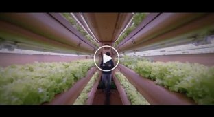 Inflatable farm for growing vegetables in arid areas areas
