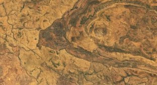 Australia's Spider-Legged Crater (2 Photos)