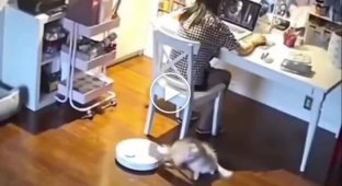 Реакція на пилосос