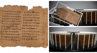 One of the oldest books in the world sold at auction (8 photos + 1 video)