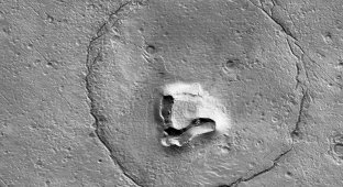 NASA обнаружило на Марсе камни, похожие на плюшевого мишку (2 фото)