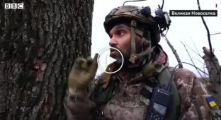Бои за Донбасс. Репортаж Би-би-си с передовой во время российской атаки