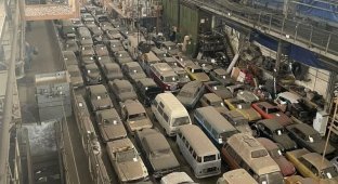Владелец продаст более 170 классических автомобилей, которые десятилетиями стояли покрытыми пылью в ангаре на севере Лондона (13 фото + 1 видео)