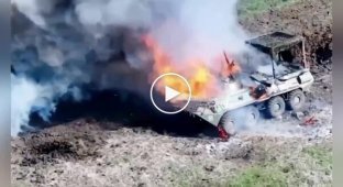Танк и БТР уничтожили бойцы подразделения BULAVA дронами Дикие шершни