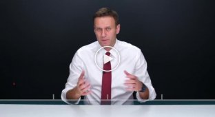 Расследование Навального, за которым пришел спецназ