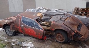 The remains of a rusty 1979 Maserati Merak put up on eBay for 15,000 euros (15 photos)