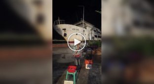 Музична пауза