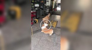 An unusual tradition shared by two friends at an auto repair shop