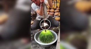 Как приготовить кактус