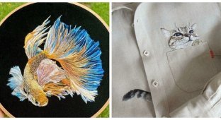 25 amateur embroideries that you can't help but like (26 photos)