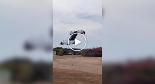 Aerial vehicle
