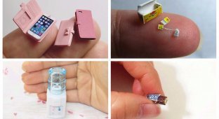 Удивительный мир миниатюр: как бы выглядели привычные нам вещи в мини-формате (16 фото)