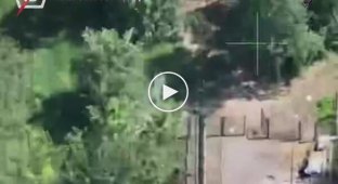 Бойцы 5 ОШБр атаковали дронами-камикадзе россиян, в том числе группу, которая пряталась в укрытии