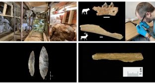 В Германии нашли кости животных, съеденных человеком 45 000 лет назад (7 фото)